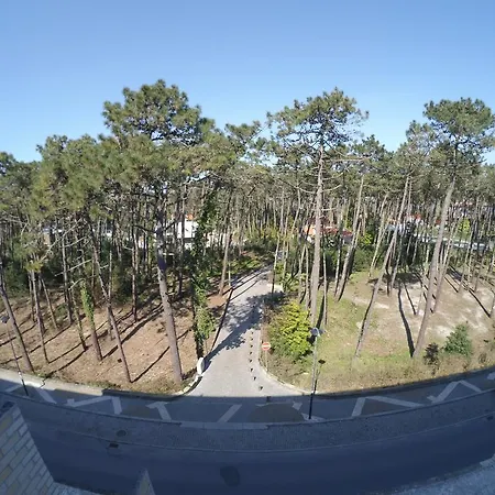 Апартаменты The Pinewood