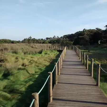 The Pinewood