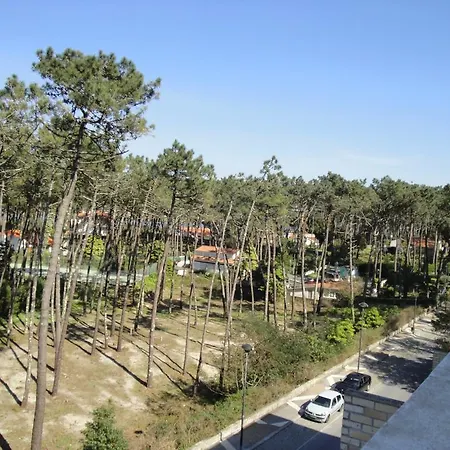 Апартаменты The Pinewood *